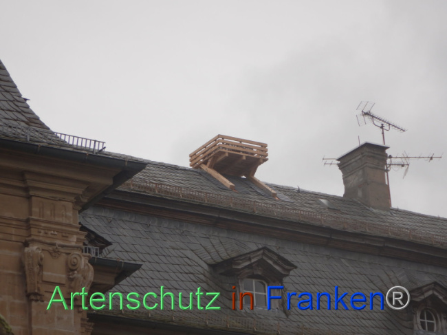 © Artenschutz in Franken® Bild zum Eintrag (1101039-160)