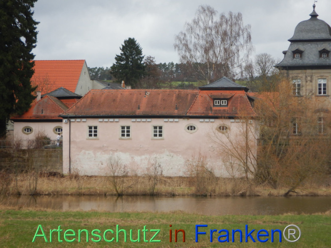 © Artenschutz in Franken® Bild zum Eintrag (1101045-160)