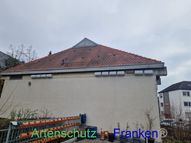 © Artenschutz in Franken® Bild zum Eintrag (1101111-160)