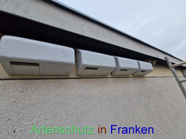 © Artenschutz in Franken® Bild zum Eintrag (1101113-160)