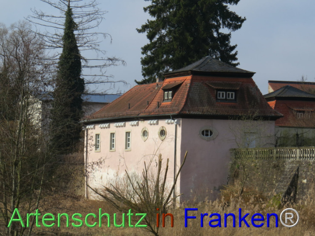 © Artenschutz in Franken® Bild zum Eintrag (1101312-160)