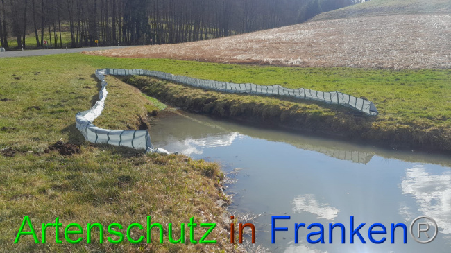 © Artenschutz in Franken® Bild zum Eintrag (1101509-160)