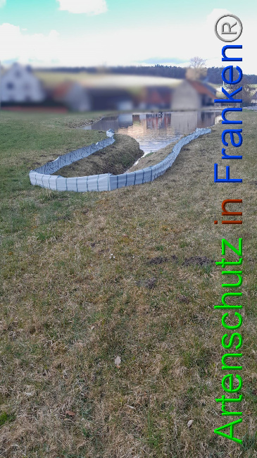 © Artenschutz in Franken® Bild zum Eintrag (1101510-160)