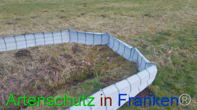 © Artenschutz in Franken® Bild zum Eintrag (1101515-160)