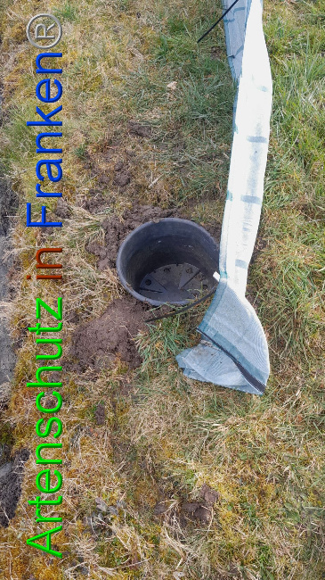 © Artenschutz in Franken® Bild zum Eintrag (1101517-160)