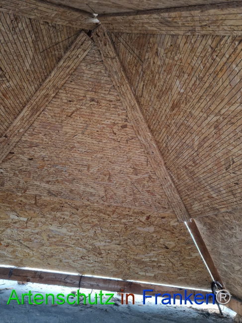 © Artenschutz in Franken® Bild zum Eintrag (1101560-160)