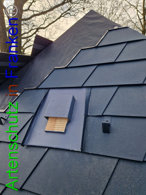 © Artenschutz in Franken® Bild zum Eintrag (1101637-160)