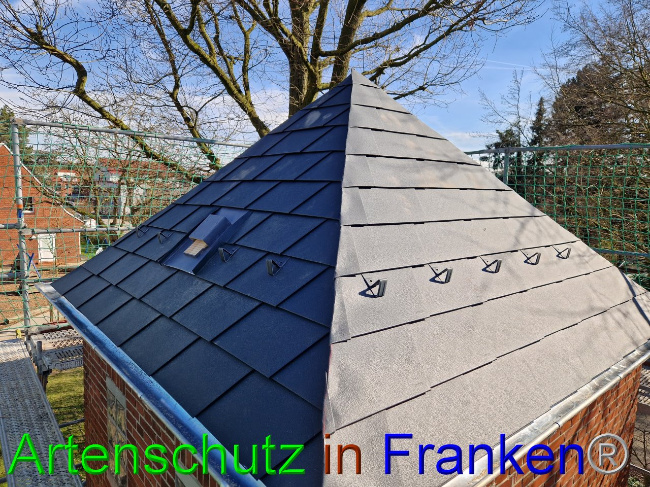 © Artenschutz in Franken® Bild zum Eintrag (1101639-160)