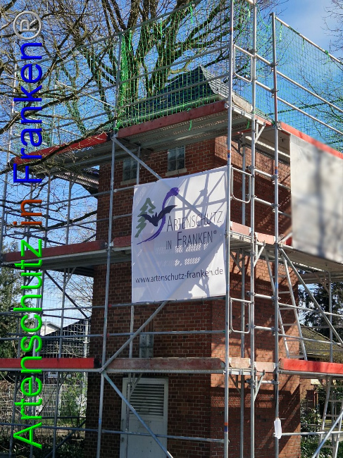 © Artenschutz in Franken® Bild zum Eintrag (1101646-160)