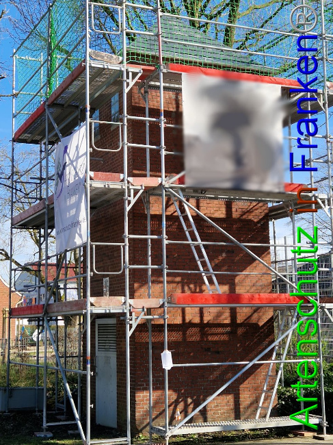 © Artenschutz in Franken® Bild zum Eintrag (1101647-160)