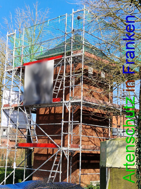 © Artenschutz in Franken® Bild zum Eintrag (1101648-160)