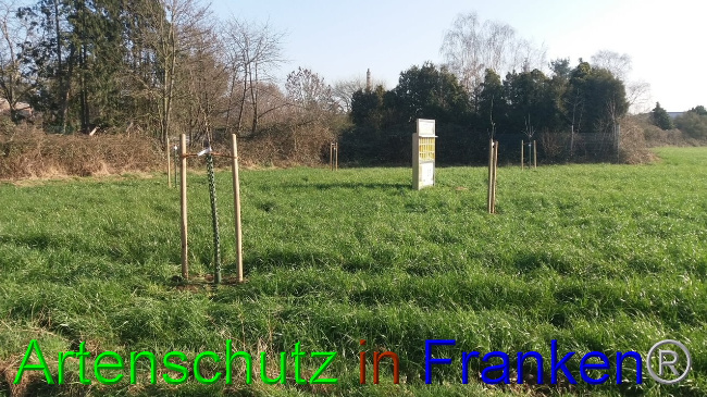 Bild zum Eintrag (1101659-160)