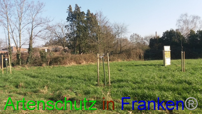 Bild zum Eintrag (1101663-160)