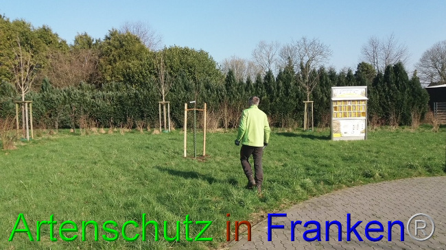 Bild zum Eintrag (1101664-160)