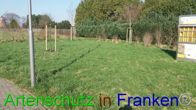 Bild zum Eintrag (1101665-160)