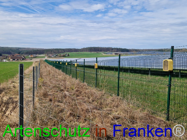 © Artenschutz in Franken® Bild zum Eintrag (1101873-160)