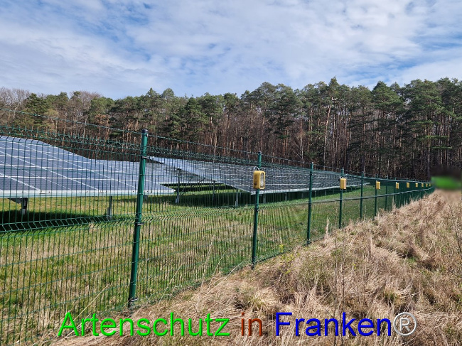 © Artenschutz in Franken® Bild zum Eintrag (1101874-160)
