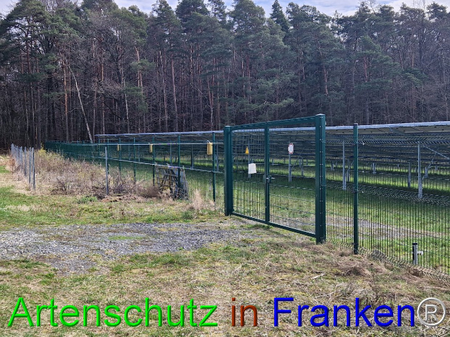 Bild zum Eintrag (1101877-160)