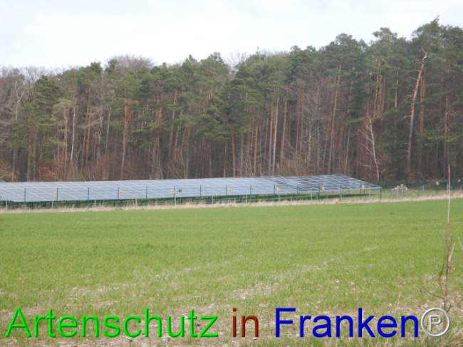 © Artenschutz in Franken® Bild zum Eintrag (1101882-160)