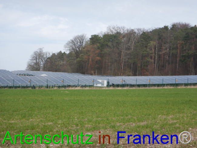 © Artenschutz in Franken® Bild zum Eintrag (1101883-160)