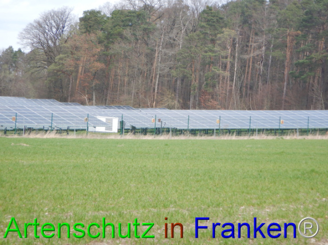 © Artenschutz in Franken® Bild zum Eintrag (1101884-160)