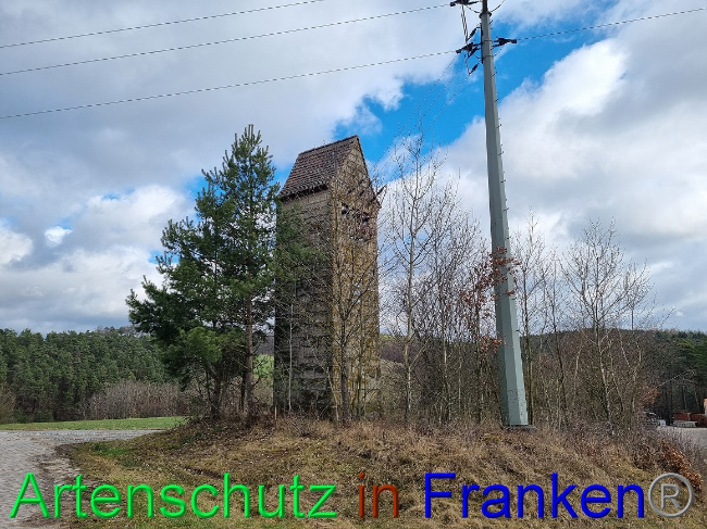 © Artenschutz in Franken® Bild zum Eintrag (1101893-160)