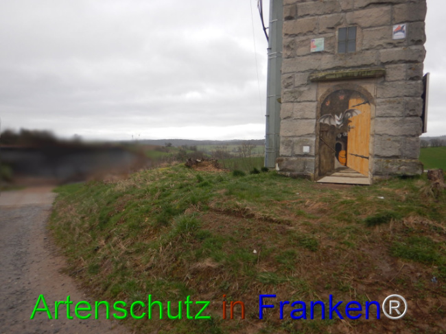 Bild zum Eintrag (1101905-160)