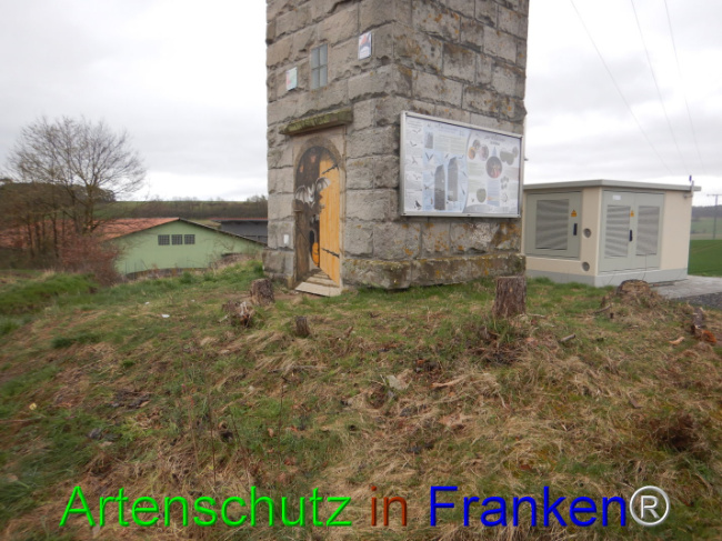 © Artenschutz in Franken® Bild zum Eintrag (1101907-160)