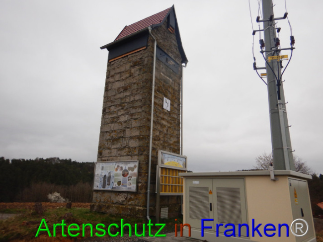 © Artenschutz in Franken® Bild zum Eintrag (1101909-160)