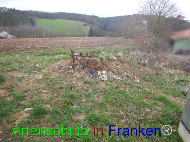 Bild zum Eintrag (1101914-160)