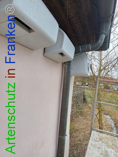 © Artenschutz in Franken® Bild zum Eintrag (1101981-160)