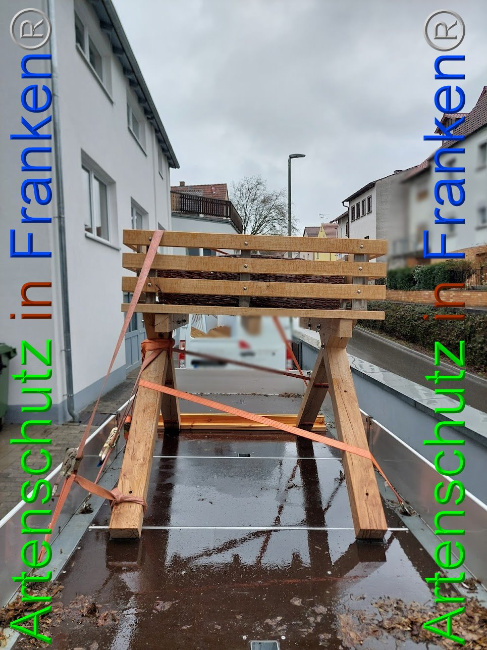 © Artenschutz in Franken® Bild zum Eintrag (1102102-160)