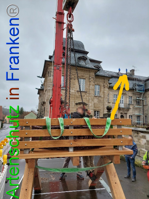 © Artenschutz in Franken® Bild zum Eintrag (1102105-160)