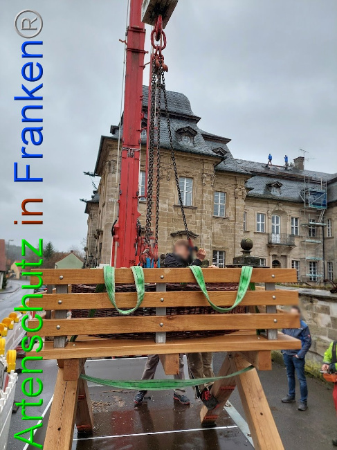© Artenschutz in Franken® Bild zum Eintrag (1102107-160)
