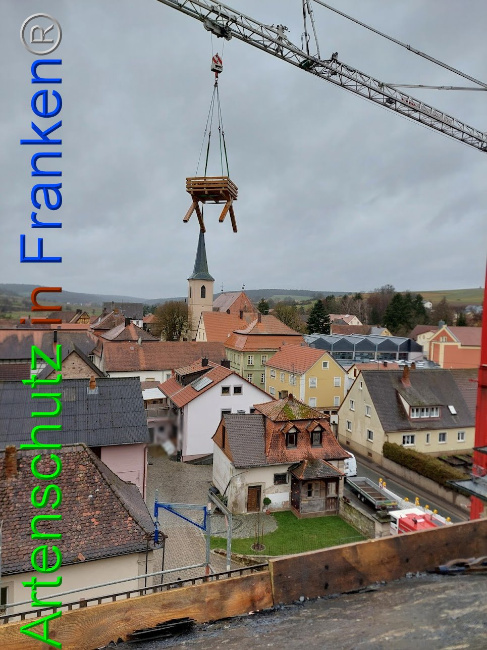 © Artenschutz in Franken® Bild zum Eintrag (1102111-160)