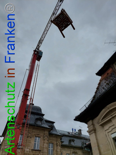 © Artenschutz in Franken® Bild zum Eintrag (1102112-160)