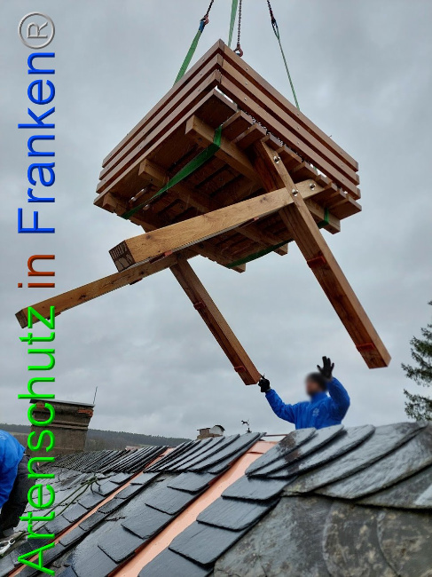 © Artenschutz in Franken® Bild zum Eintrag (1102117-160)