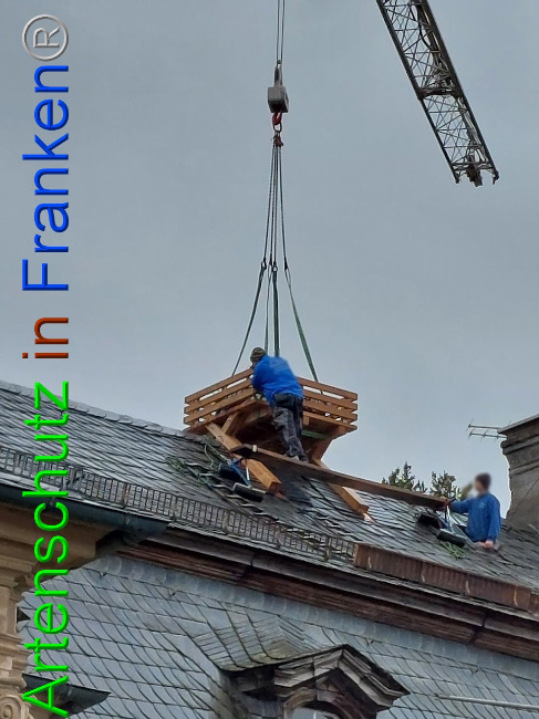 © Artenschutz in Franken® Bild zum Eintrag (1102118-160)