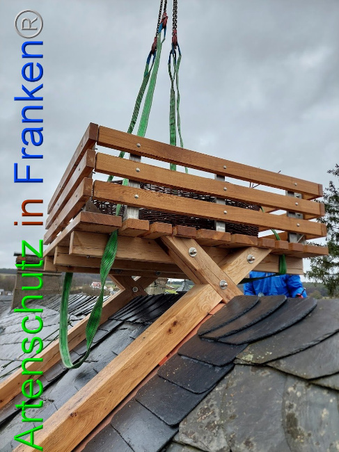 © Artenschutz in Franken® Bild zum Eintrag (1102119-160)
