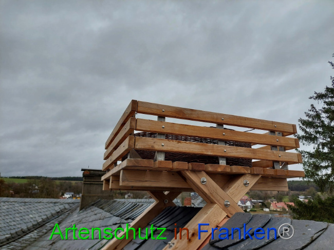 © Artenschutz in Franken® Bild zum Eintrag (1102121-160)
