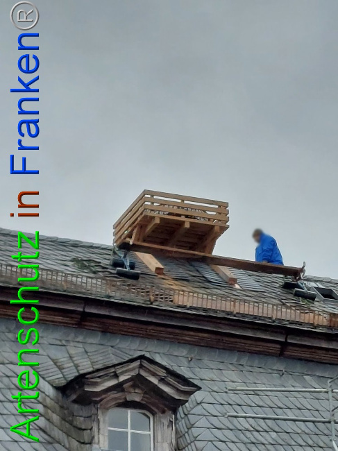 © Artenschutz in Franken® Bild zum Eintrag (1102123-160)
