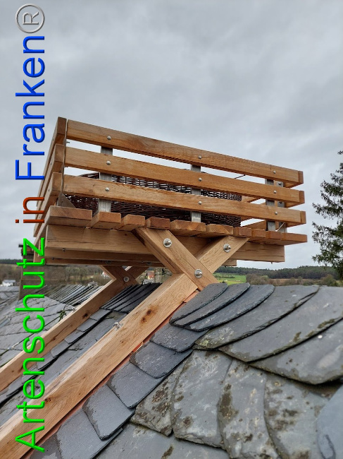 © Artenschutz in Franken® Bild zum Eintrag (1102124-160)