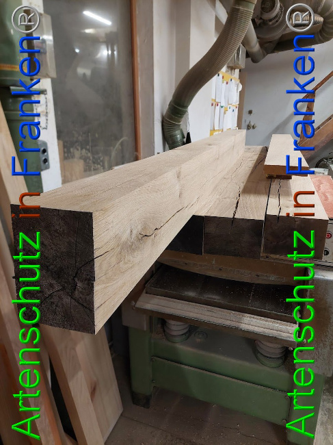 © Artenschutz in Franken® Bild zum Eintrag (1102138-160)