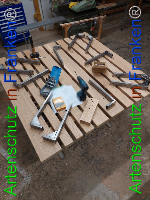 © Artenschutz in Franken® Bild zum Eintrag (1102140-160)