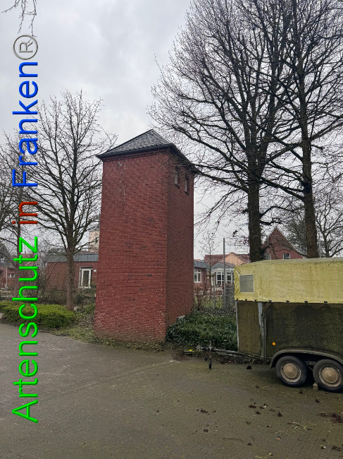 © Artenschutz in Franken® Bild zum Eintrag (1102168-160)