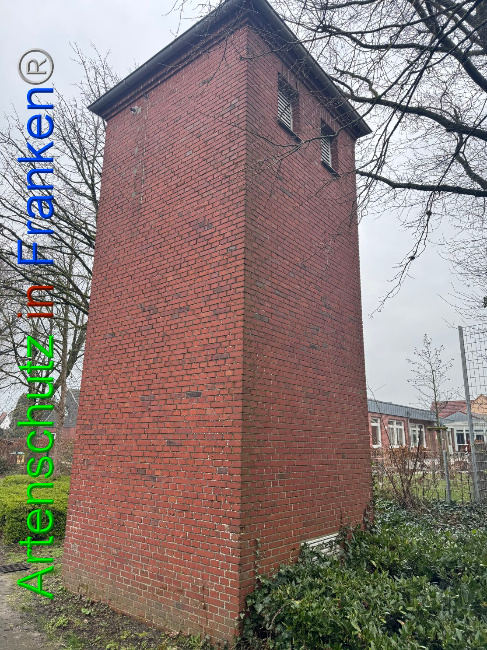 © Artenschutz in Franken® Bild zum Eintrag (1102170-160)