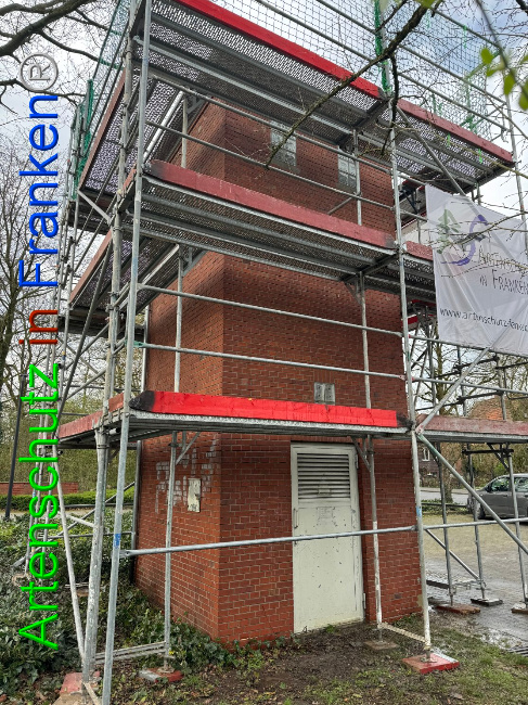 © Artenschutz in Franken® Bild zum Eintrag (1102172-160)