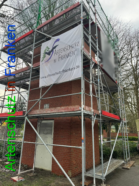 © Artenschutz in Franken® Bild zum Eintrag (1102174-160)