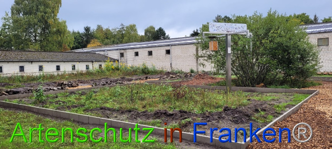 © Artenschutz in Franken® Bild zum Eintrag (1102181-160)