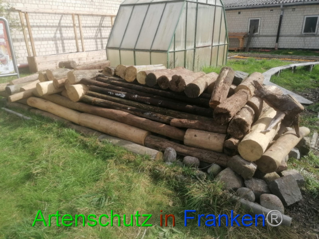 © Artenschutz in Franken® Bild zum Eintrag (1102183-160)
